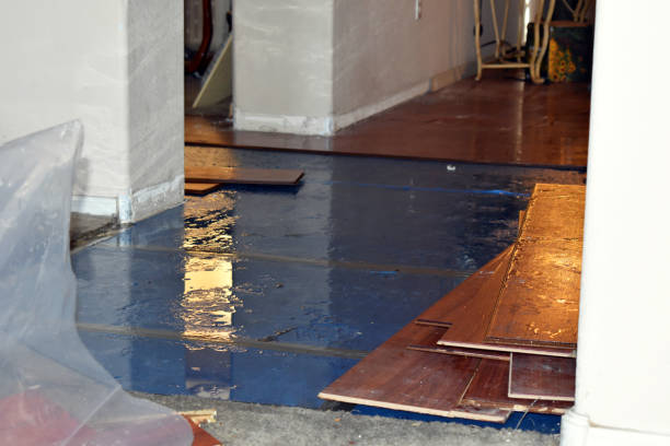 Professional Sewage Cleanup technician working in Benton, IL